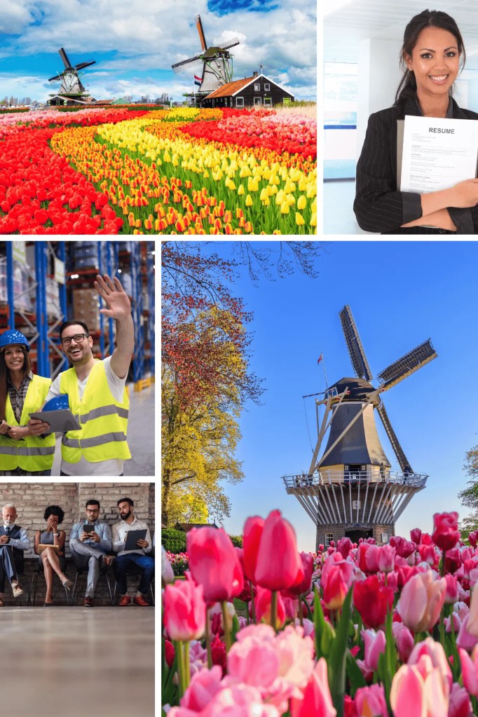 Ηighest paying professions in the Netherlands. Salaries in netherlands. Best salaries in netherlands. immigrating to netherlands. immigrants to netherlands.